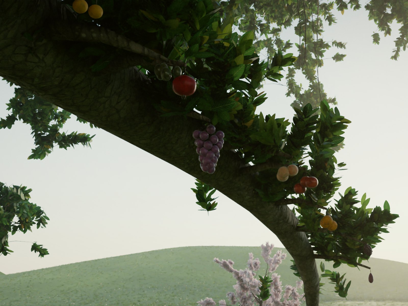 A bough of the Tree of Life heavy with fruit